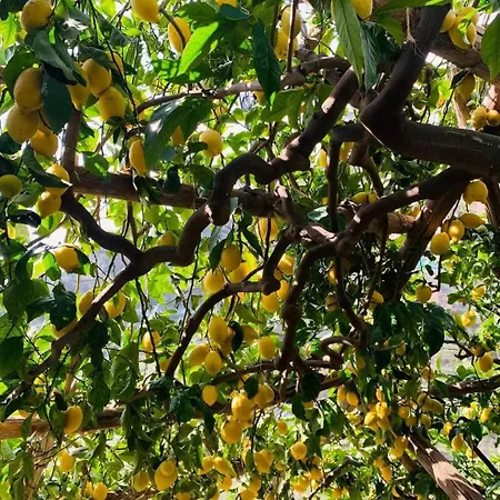 La Casa Di Nonna Hébergement de vacances Cava deʼ Tirreni